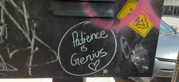 patience is genius