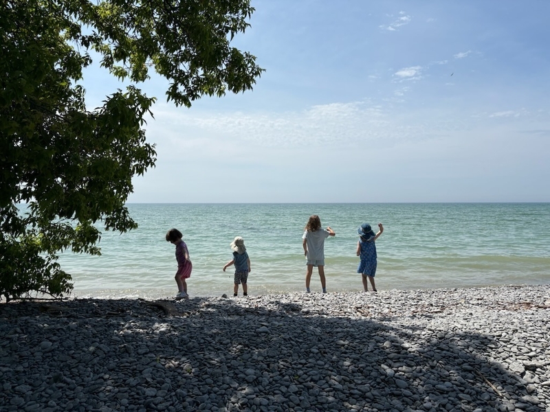 Four kids throwing stones.