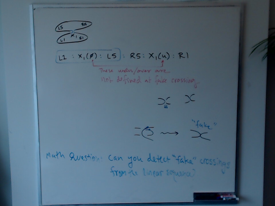 A photo of a whiteboard titled: Fake Crossings in Knots