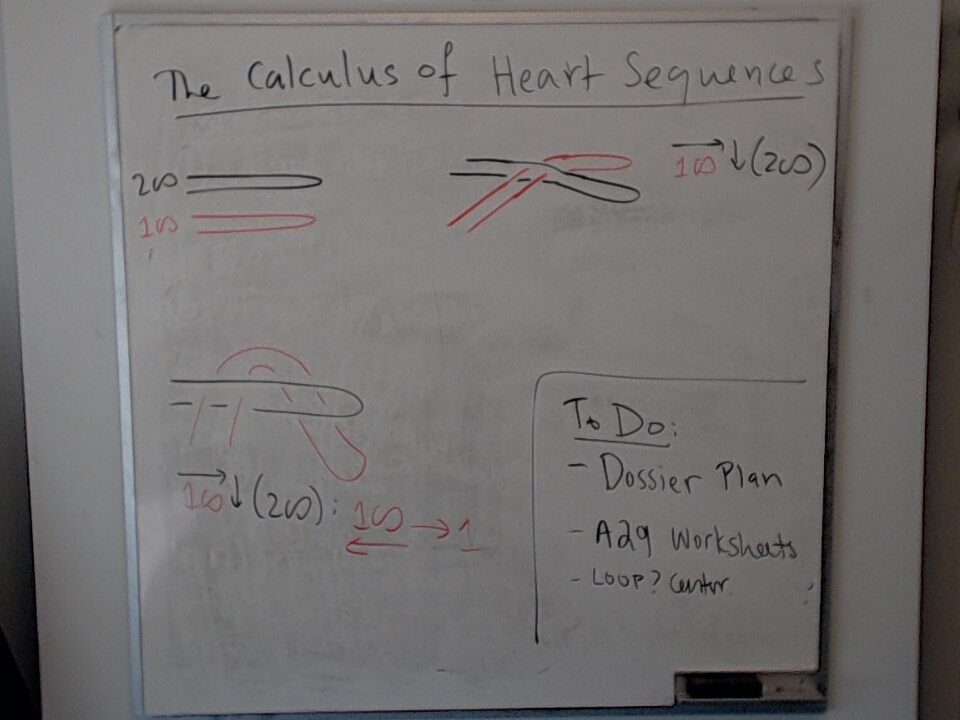 A photo of a whiteboard titled: The Calculus of Heart Sequences: Passing a Loop Through and Returning It