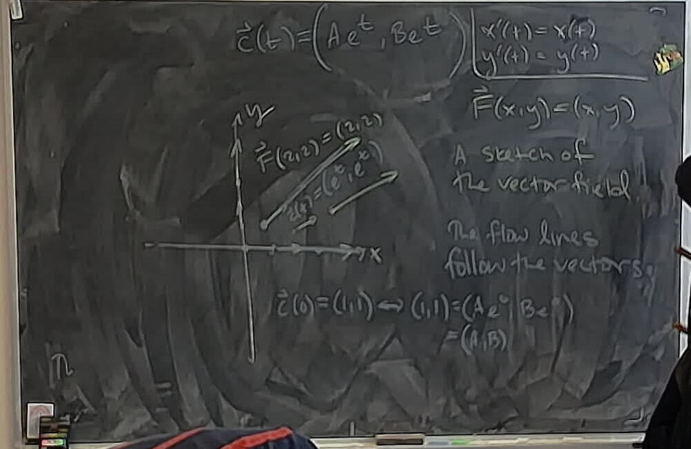 A photo of a whiteboard titled: Flow Lines of F(x,y)=(x,y)