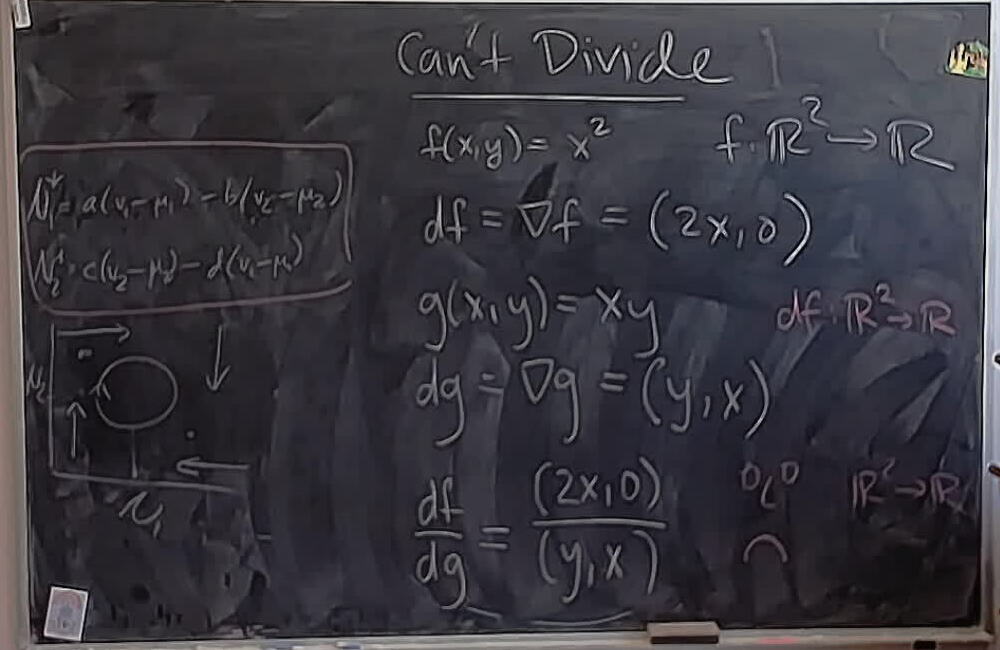 A photo of a whiteboard titled: Dividing Derivatives of Multivariate Functions: Cannot Divide